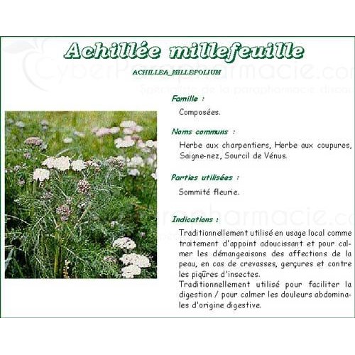 MILLEFEUILLE VITAFLOR, Millefeuille plante, vrac. - bt 100 g