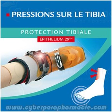 PROTECTION TIBIAL Epithélium 29 (x1)