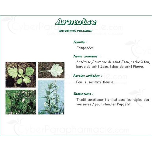 ARMOISE VITAFLOR, wormwood plant, bulk. - Bt 50 g