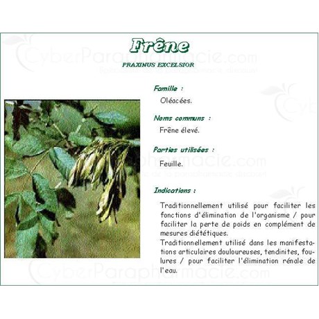 ASH LEAF VITAFLOR Leaf Ash bulk. - Bt 50 g