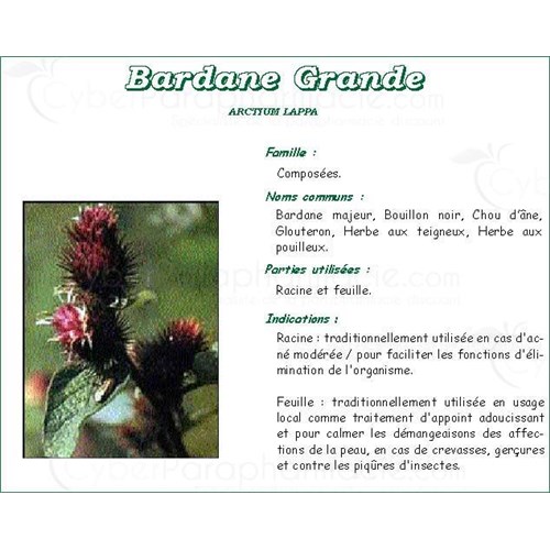 BURDOCK PHARMA PLANT ROOT, burdock root, bulk. cut - 250 g bag