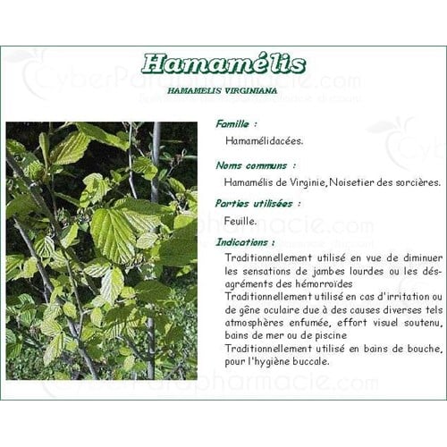 HAMAMÉLIS PHARMA PLANT LEAF Leaf witch hazel, bulk. cut - 250 g bag