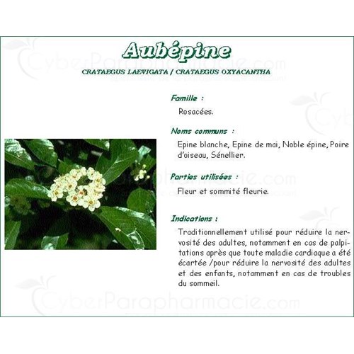 HAWTHORN TEA Mediflor luminary, Flowering top hawthorn bulk. - Bt 50 g # 3