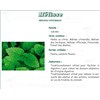 MELISSA SHEET VITAFLOR, lemon balm leaf, bulk. - Bt 25 g