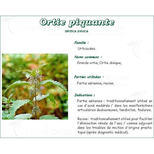 Nettle PHARMA PLANT LEAF, Leaf spicy nettle bulk. cut - 250 g bag