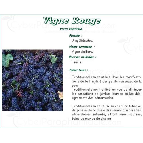 RED VINE PLANT PHARMA, red vine leaf, bulk. - 250 g bag