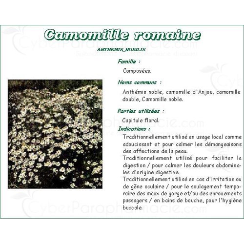 CAMOMILLE ROMAINE PHARMA PLANTES, Fleur de camomille romaine, vrac. entière - sac 250 g