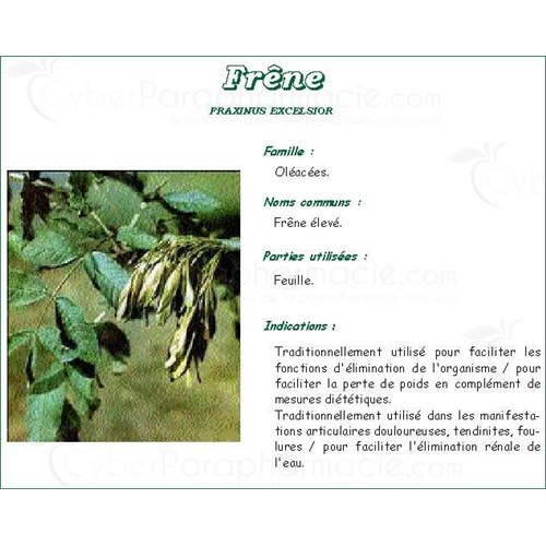 FRÊNE FEUILLE PHARMA PLANTES, Feuille de frêne élevé, vrac. coupée - bt 250 g