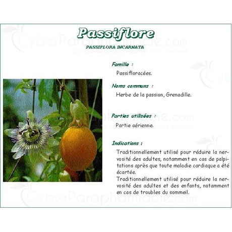 PASSIFLORE PHARMA PLANTES, Passiflore officinale plante, vrac. coupée - sac 250 g