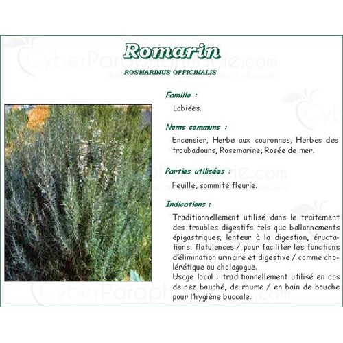 ROMARIN FEUILLE PHARMA PLANTES, Feuille de romarin, vrac. entière - sac 1 kg