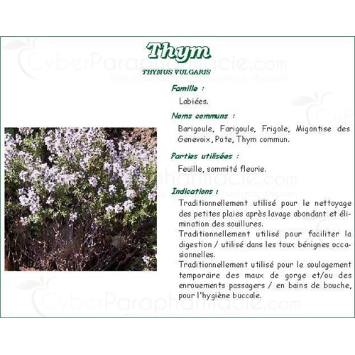 THYM DE PROVENCE PHARMA PLANTES, Feuille de thym de provence, vrac. - sac 250 g