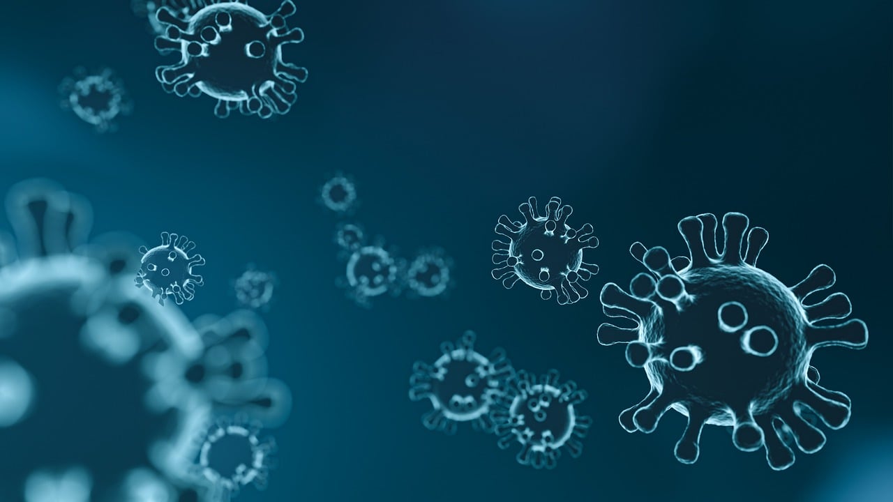 découvrez des méthodes naturelles pour renforcer votre système immunitaire et rester en bonne santé toute l'année.